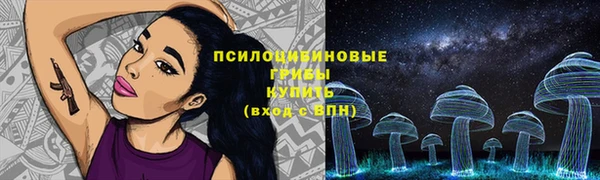МДПВ Ростов